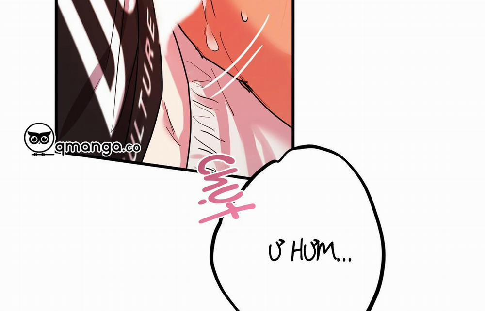 Những Chú Thỏ Của Hapypy 9 trang 143