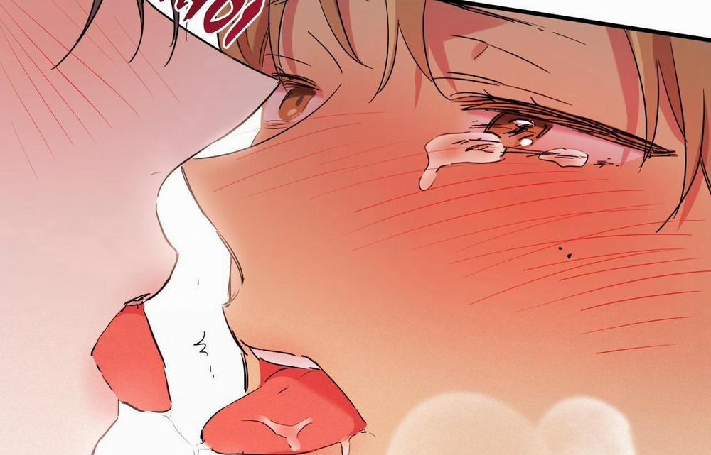 Những Chú Thỏ Của Hapypy 9 trang 145