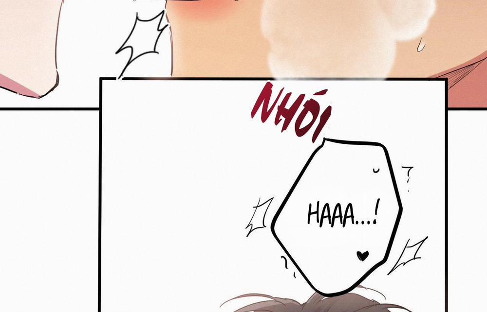 Những Chú Thỏ Của Hapypy 9 trang 146