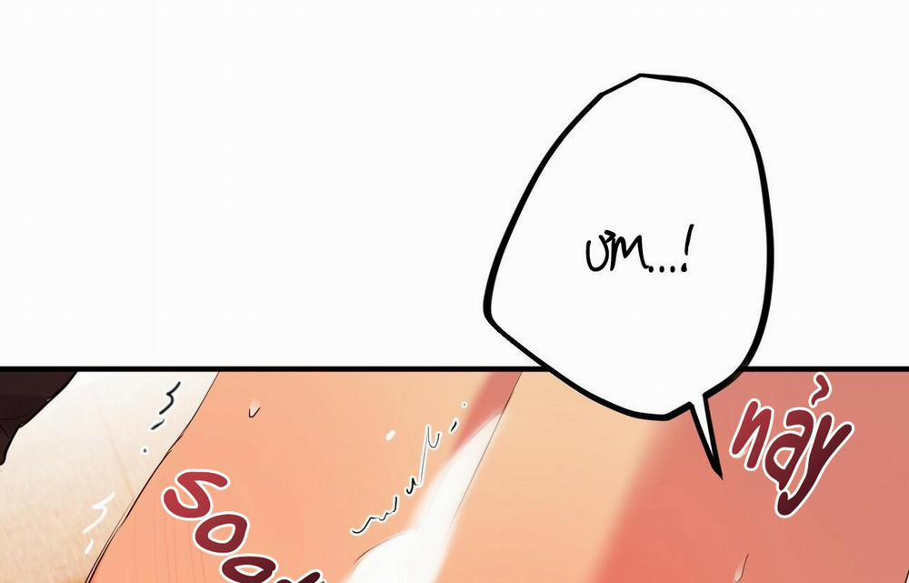 Những Chú Thỏ Của Hapypy 9 trang 151