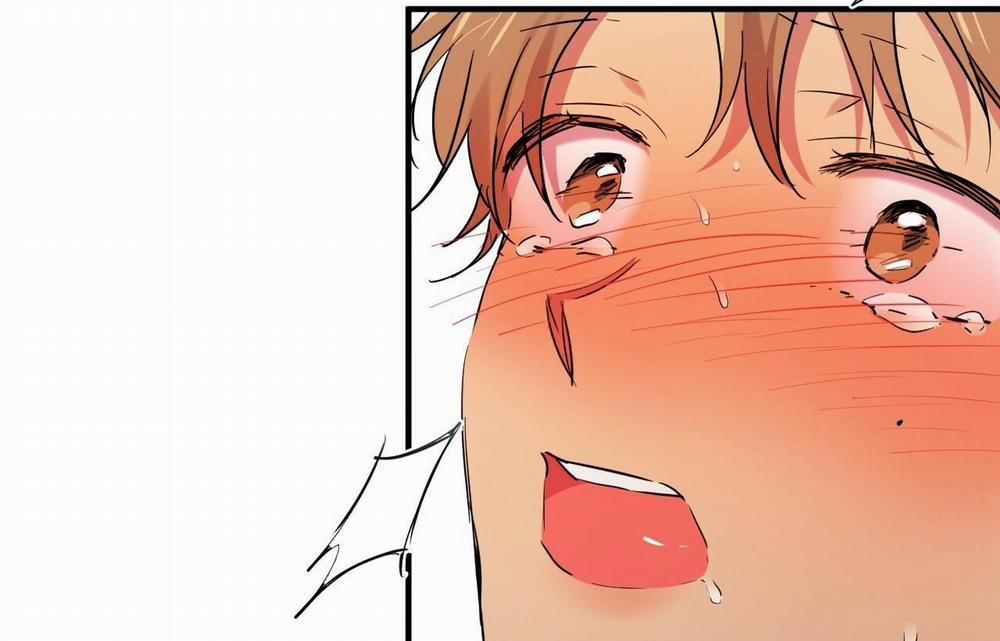 Những Chú Thỏ Của Hapypy 9 trang 157