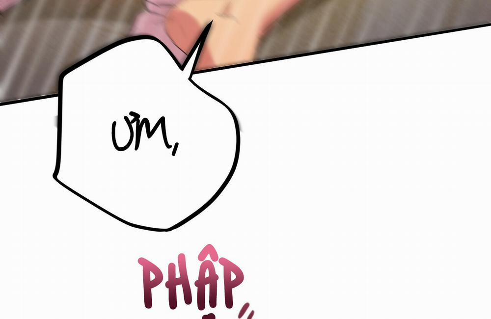 Những Chú Thỏ Của Hapypy 9 trang 166