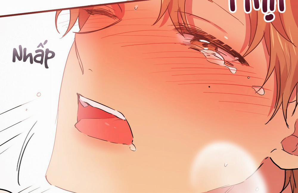 Những Chú Thỏ Của Hapypy 9 trang 168