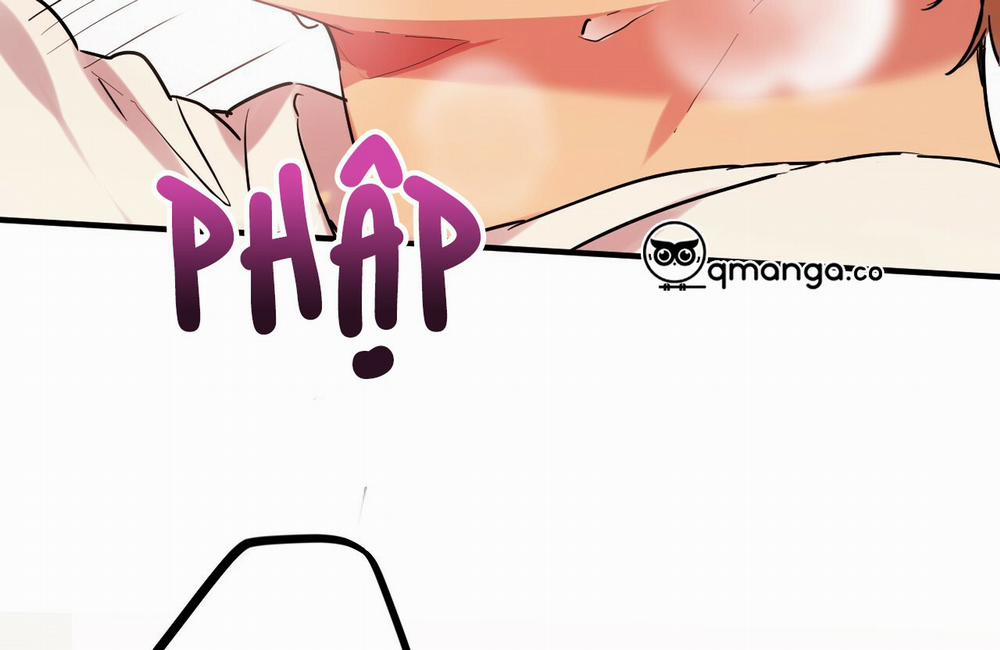 Những Chú Thỏ Của Hapypy 9 trang 169