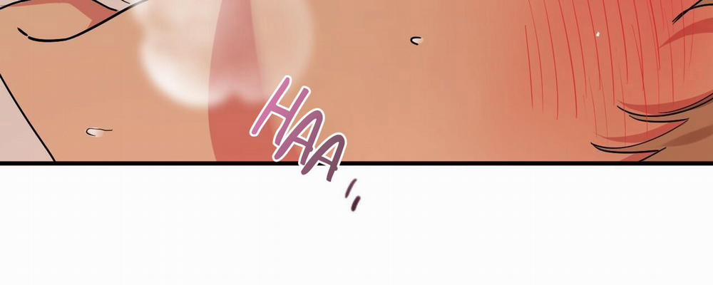 Những Chú Thỏ Của Hapypy 9 trang 17