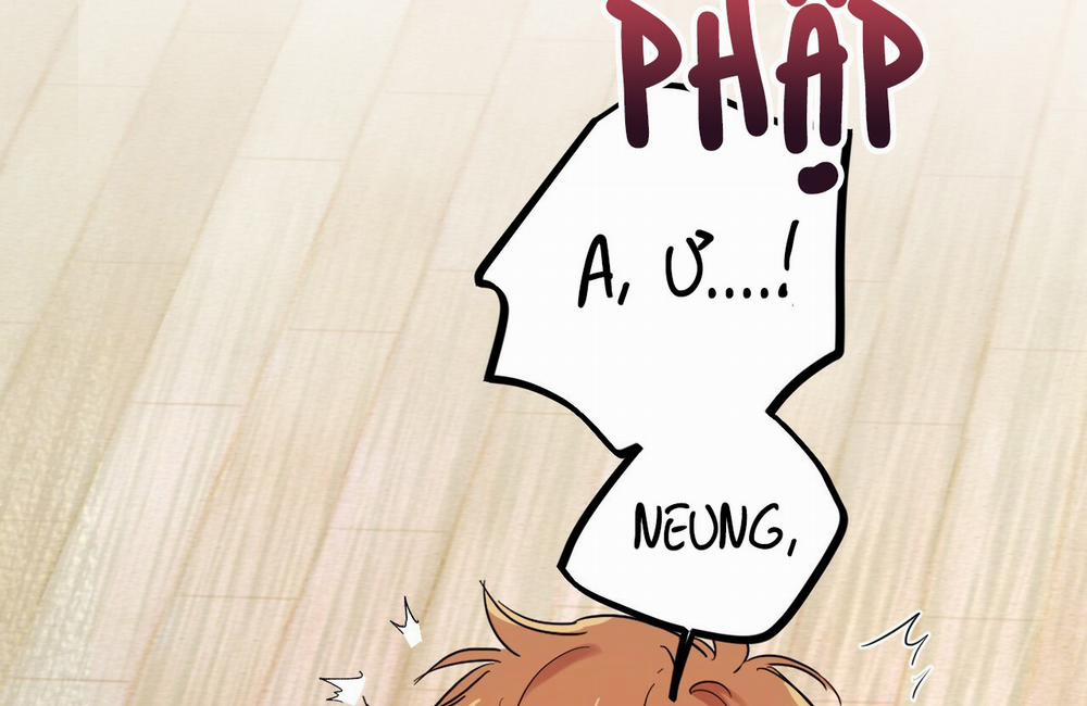 Những Chú Thỏ Của Hapypy 9 trang 171