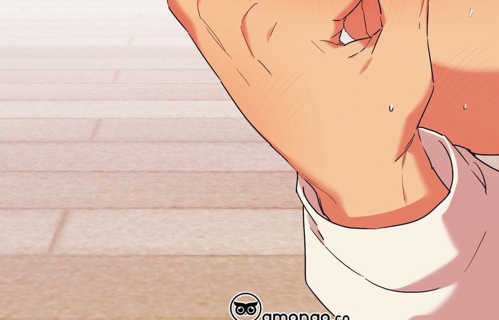 Những Chú Thỏ Của Hapypy 9 trang 188