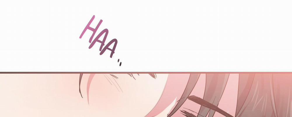 Những Chú Thỏ Của Hapypy 9 trang 19