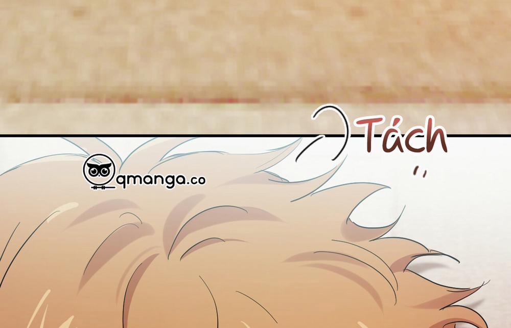 Những Chú Thỏ Của Hapypy 9 trang 190