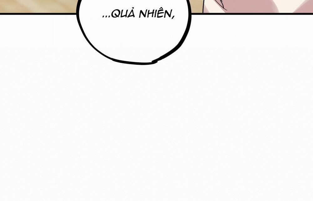 Những Chú Thỏ Của Hapypy 9 trang 207