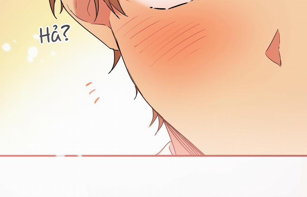 Những Chú Thỏ Của Hapypy 9 trang 212