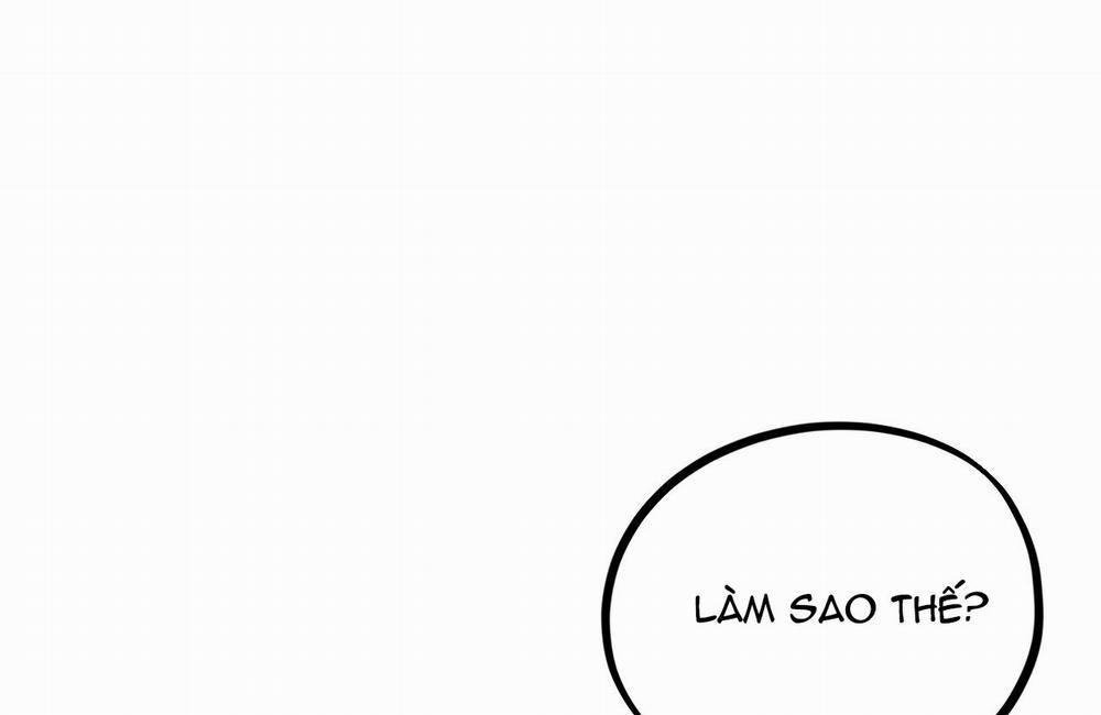 Những Chú Thỏ Của Hapypy 9 trang 227