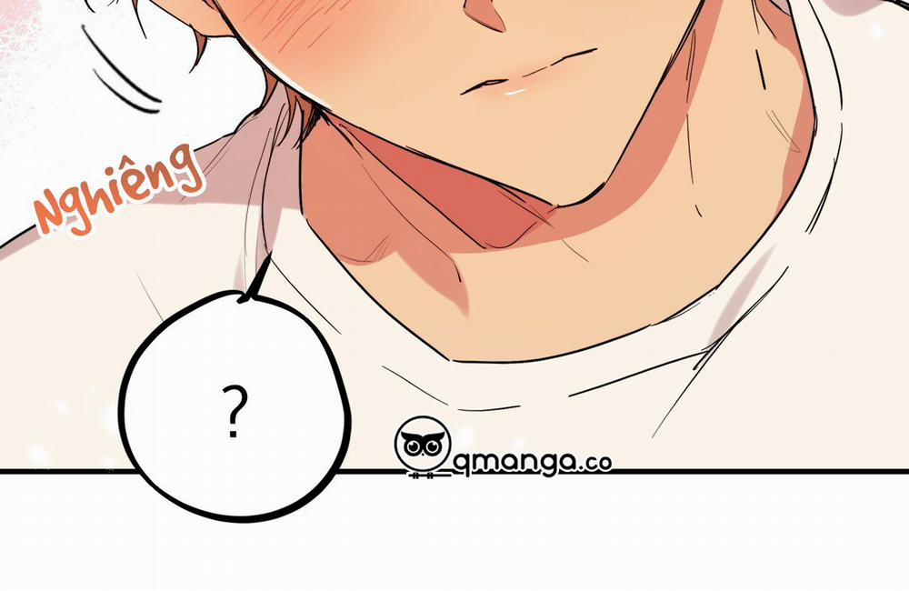 Những Chú Thỏ Của Hapypy 9 trang 236