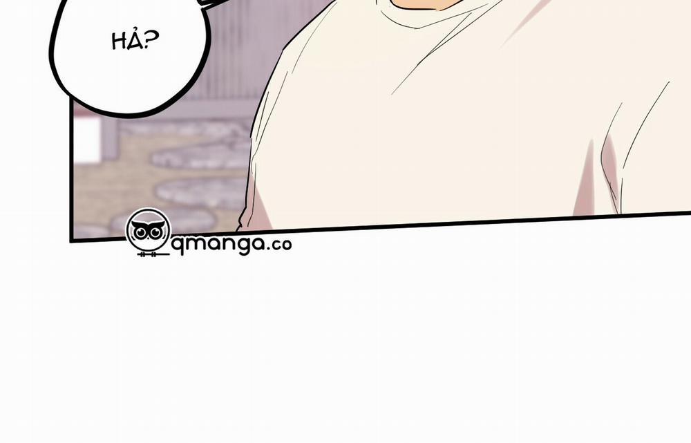 Những Chú Thỏ Của Hapypy 9 trang 241