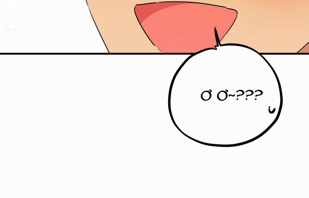 Những Chú Thỏ Của Hapypy 9 trang 244