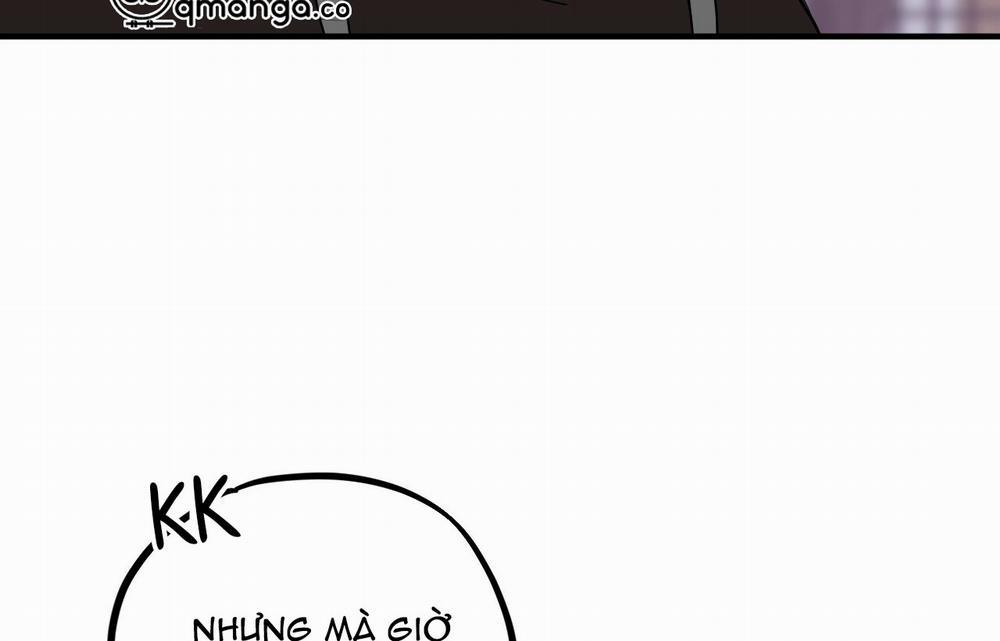 Những Chú Thỏ Của Hapypy 9 trang 250