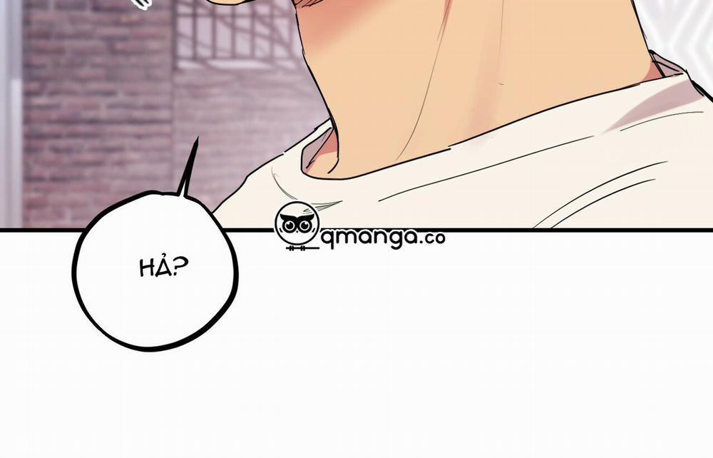 Những Chú Thỏ Của Hapypy 9 trang 260