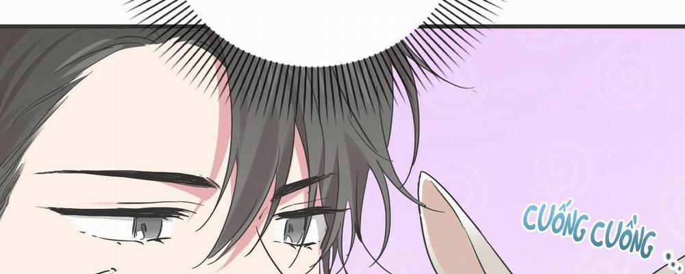 Những Chú Thỏ Của Hapypy 9 trang 27