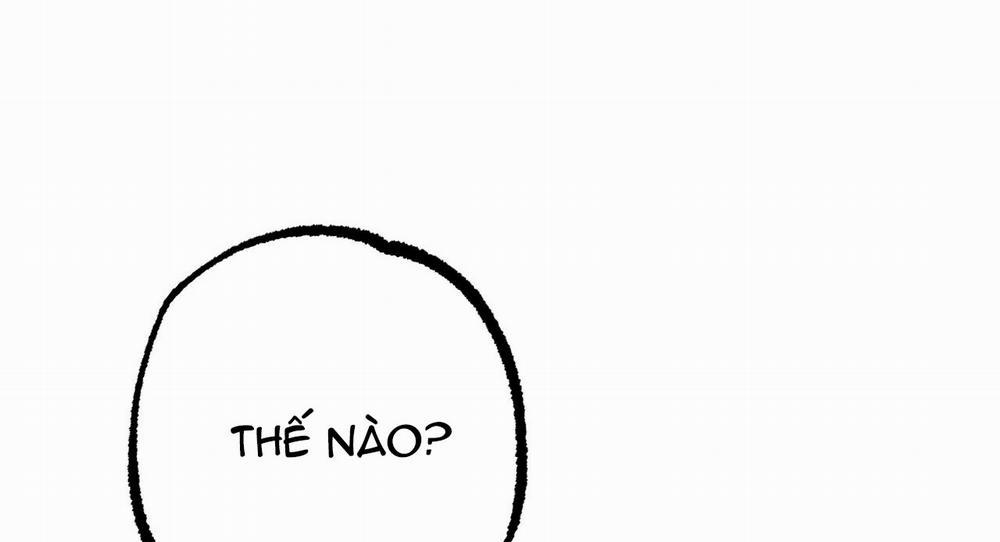 Những Chú Thỏ Của Hapypy 9 trang 284