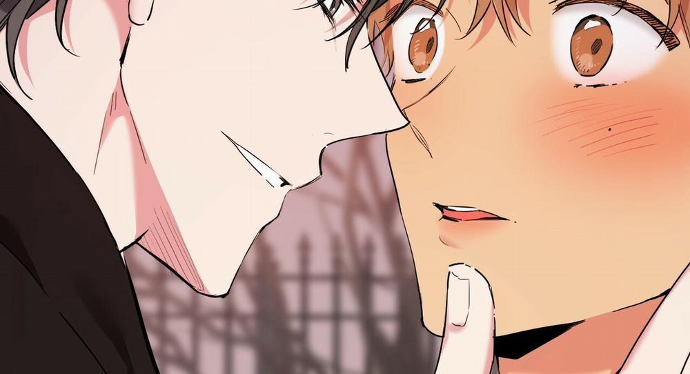 Những Chú Thỏ Của Hapypy 9 trang 291