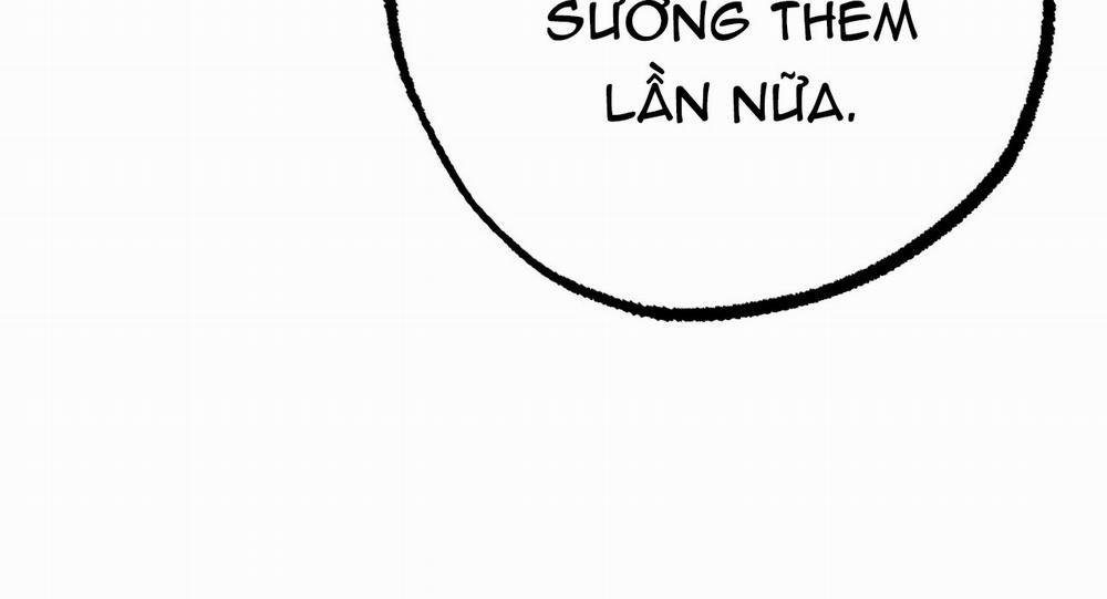 Những Chú Thỏ Của Hapypy 9 trang 296