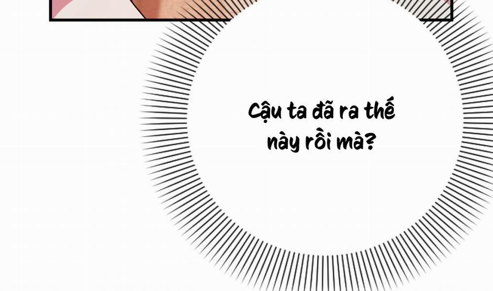 Những Chú Thỏ Của Hapypy 9 trang 43