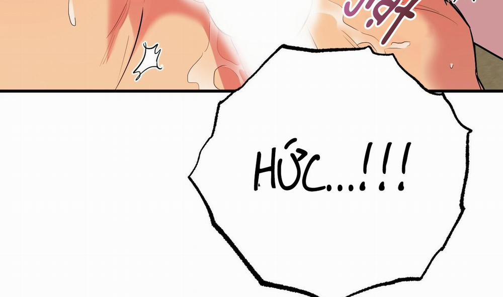 Những Chú Thỏ Của Hapypy 9 trang 48