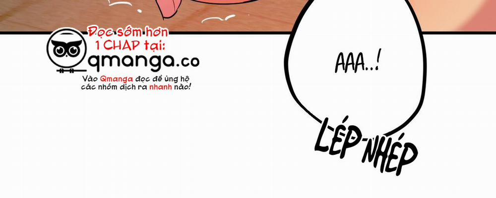 Những Chú Thỏ Của Hapypy 9 trang 7