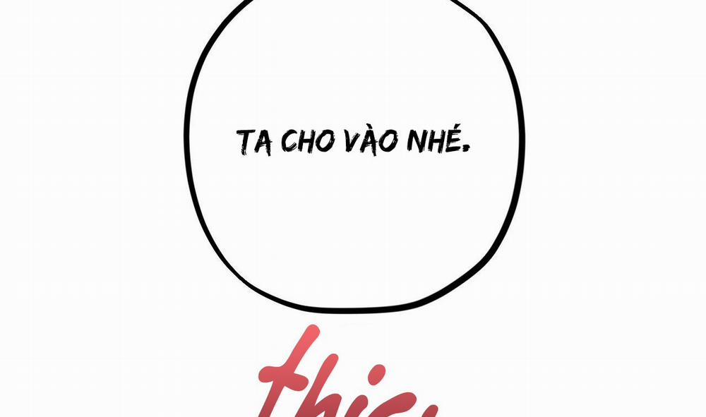 Những Chú Thỏ Của Hapypy 9 trang 82