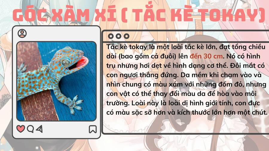 Những Cô Gái Thuộc Loại Bò Sát 4 trang 24