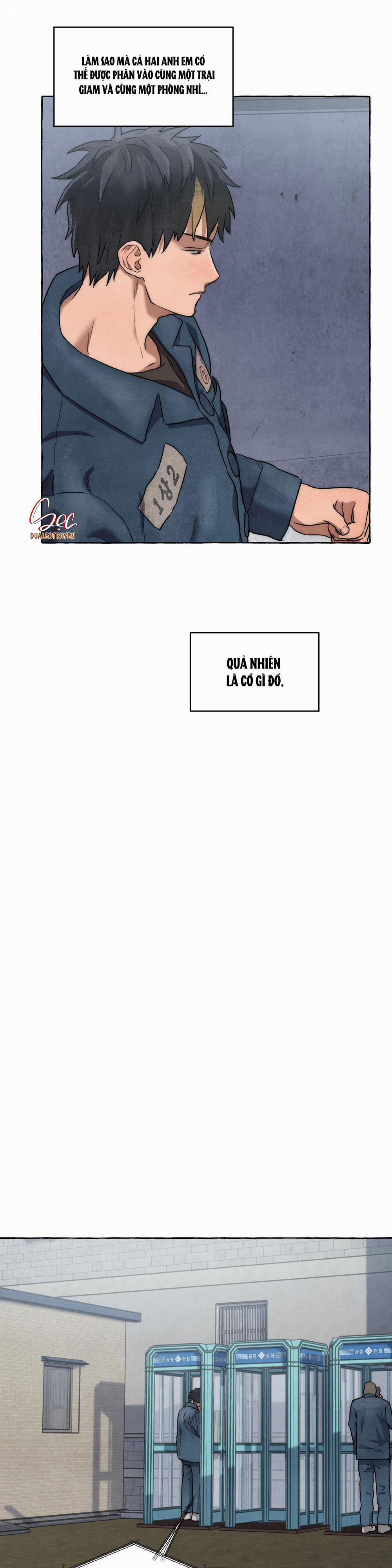 NHỮNG CON CHÓ TRONG TÙ 12 trang 21