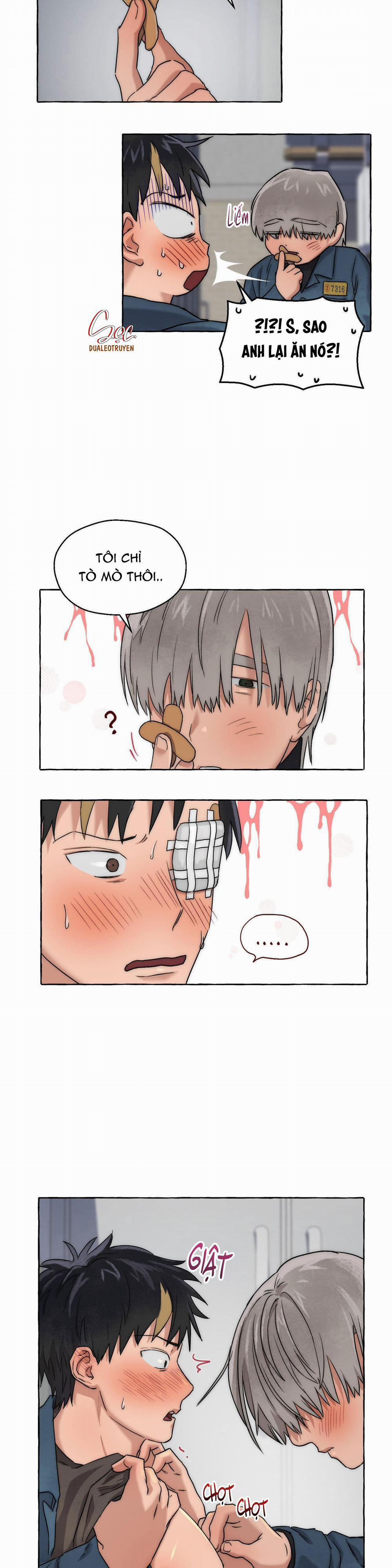 NHỮNG CON CHÓ TRONG TÙ 12 trang 5