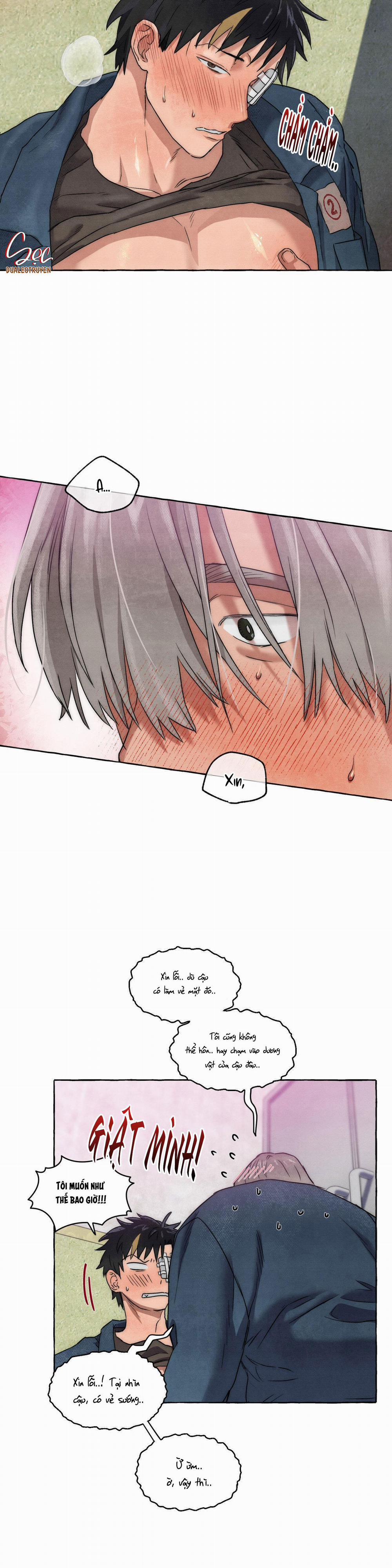 NHỮNG CON CHÓ TRONG TÙ 12 trang 8