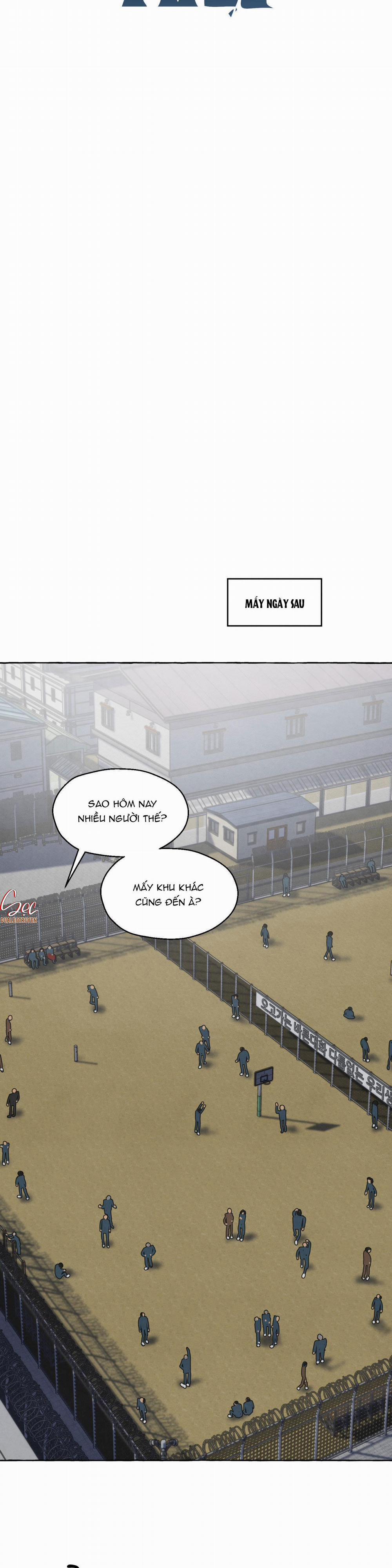 NHỮNG CON CHÓ TRONG TÙ 23 trang 13