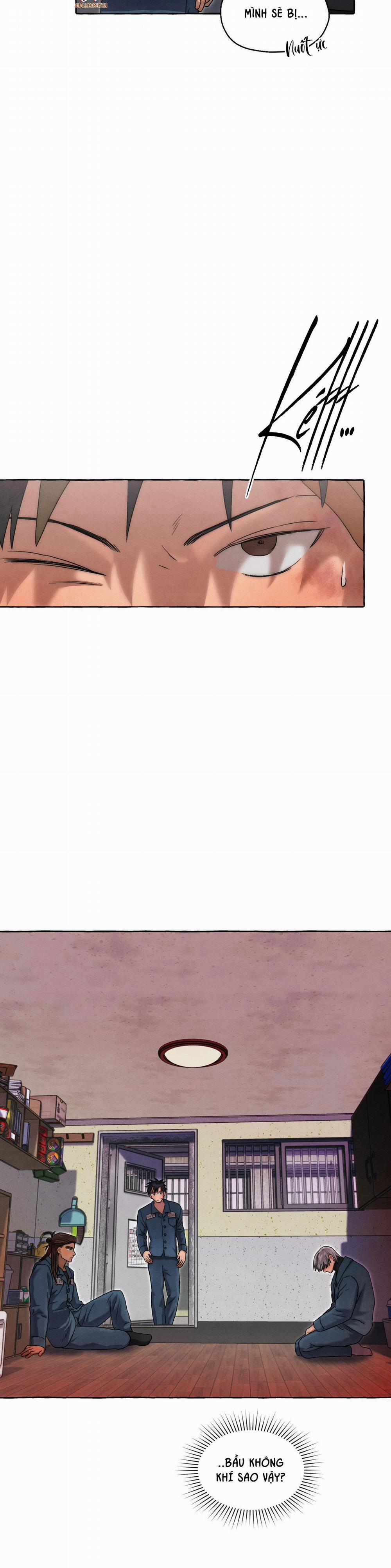 NHỮNG CON CHÓ TRONG TÙ 28 trang 1