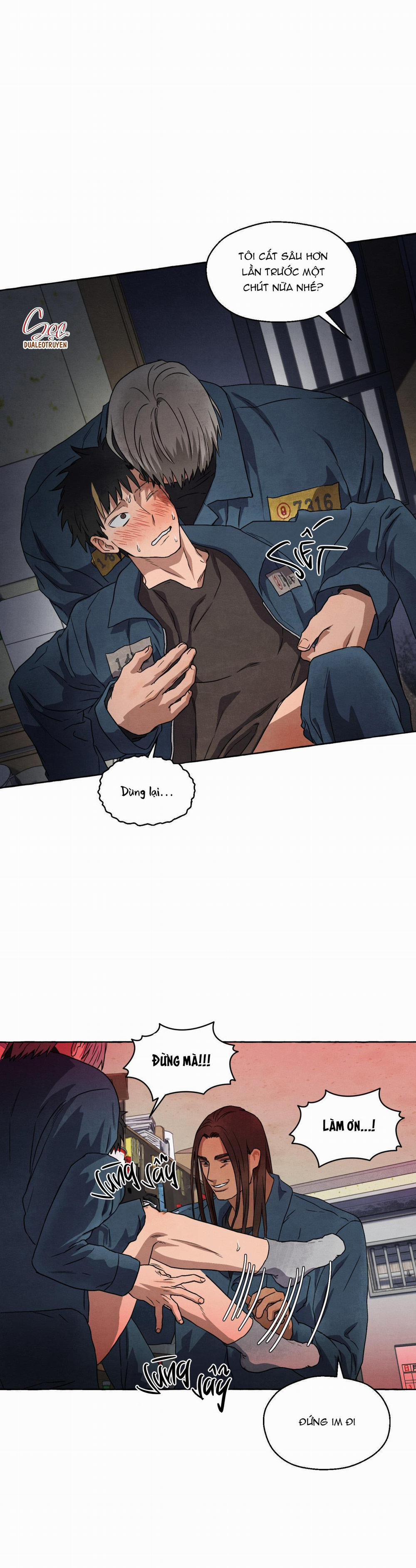 NHỮNG CON CHÓ TRONG TÙ 31 trang 7