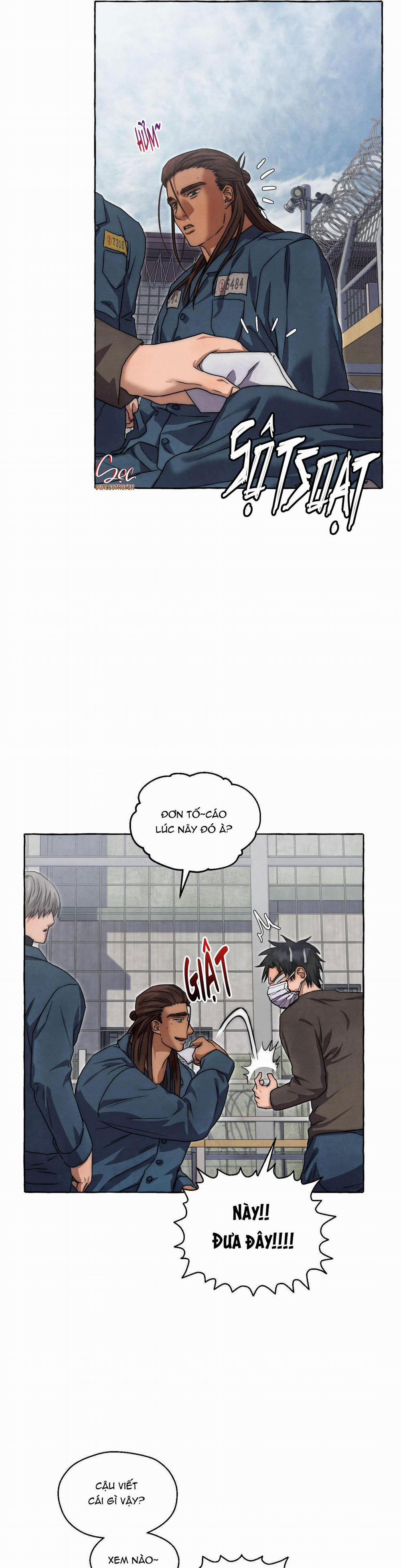 NHỮNG CON CHÓ TRONG TÙ 36 trang 11