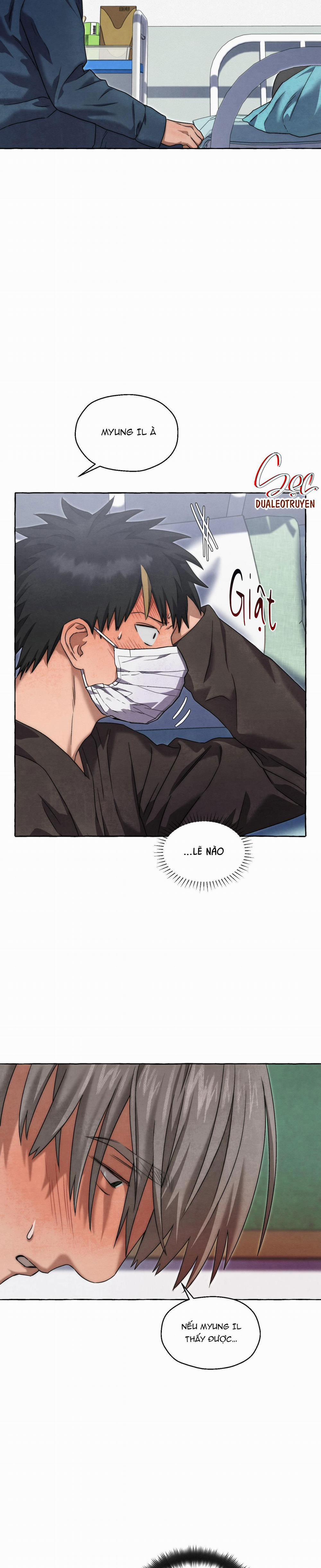 NHỮNG CON CHÓ TRONG TÙ 37 trang 16