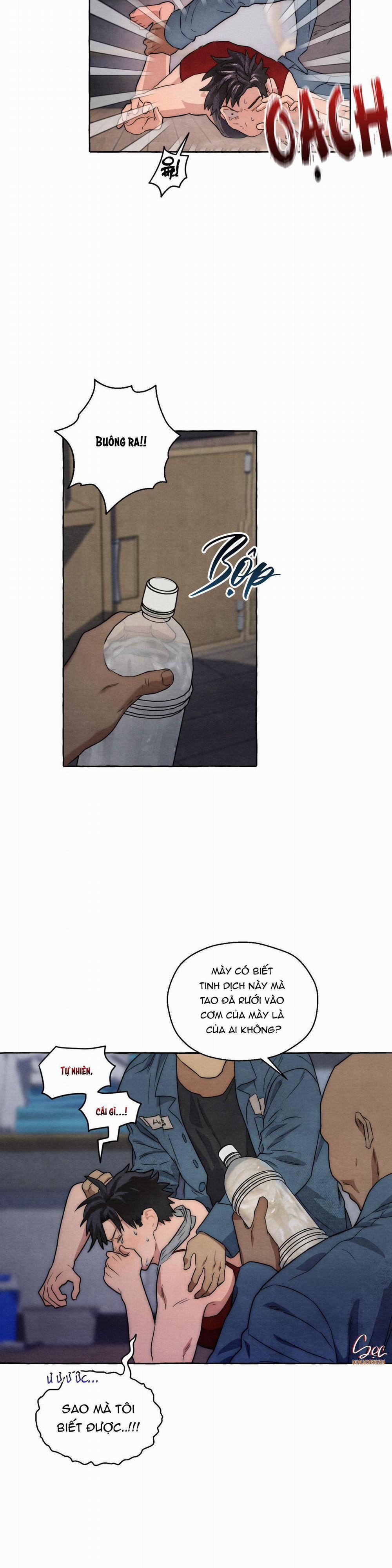 NHỮNG CON CHÓ TRONG TÙ 7 0 trang 5