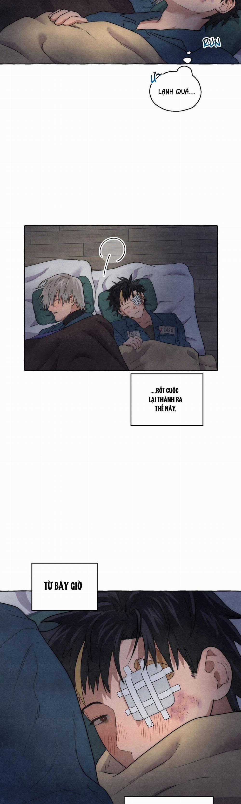 NHỮNG CON CHÓ TRONG TÙ 7 trang 37