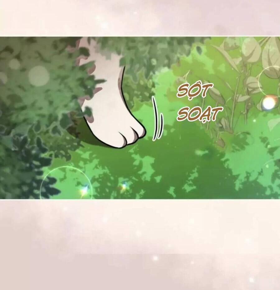 Những Đêm Dài Thao Thức Của Vị Công Tước Ác Ma 27 trang 8