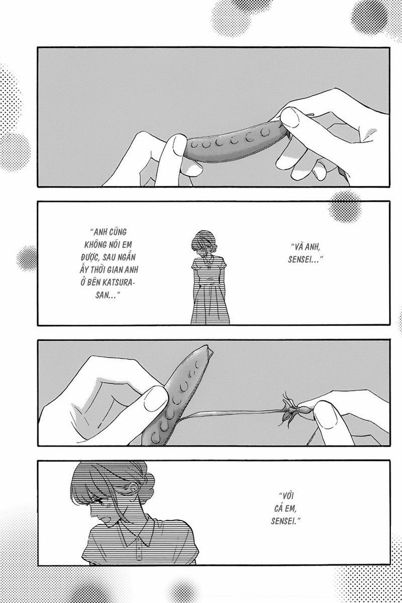 Những Đóa Sơn Trà Kia, Sẽ Vì Em Mà Đơm Hoa Khoe Sắc 26 trang 5