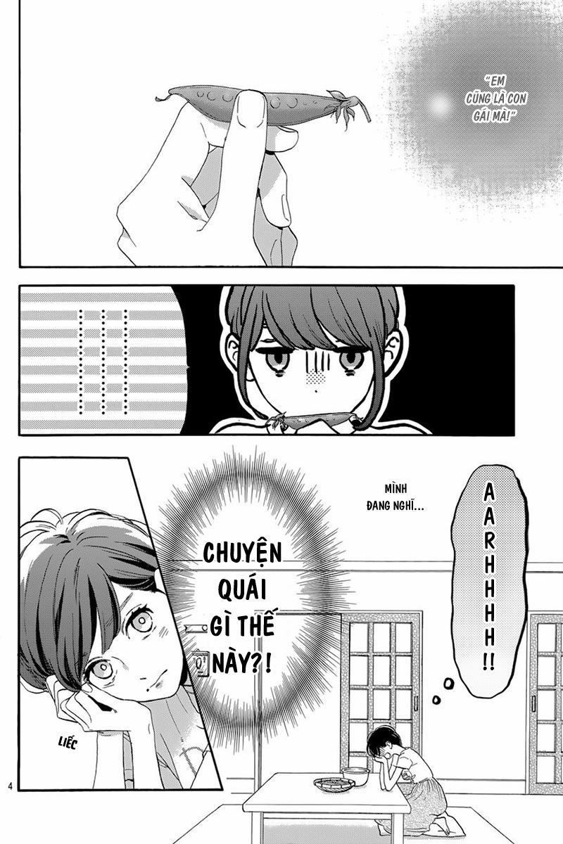 Những Đóa Sơn Trà Kia, Sẽ Vì Em Mà Đơm Hoa Khoe Sắc 26 trang 6