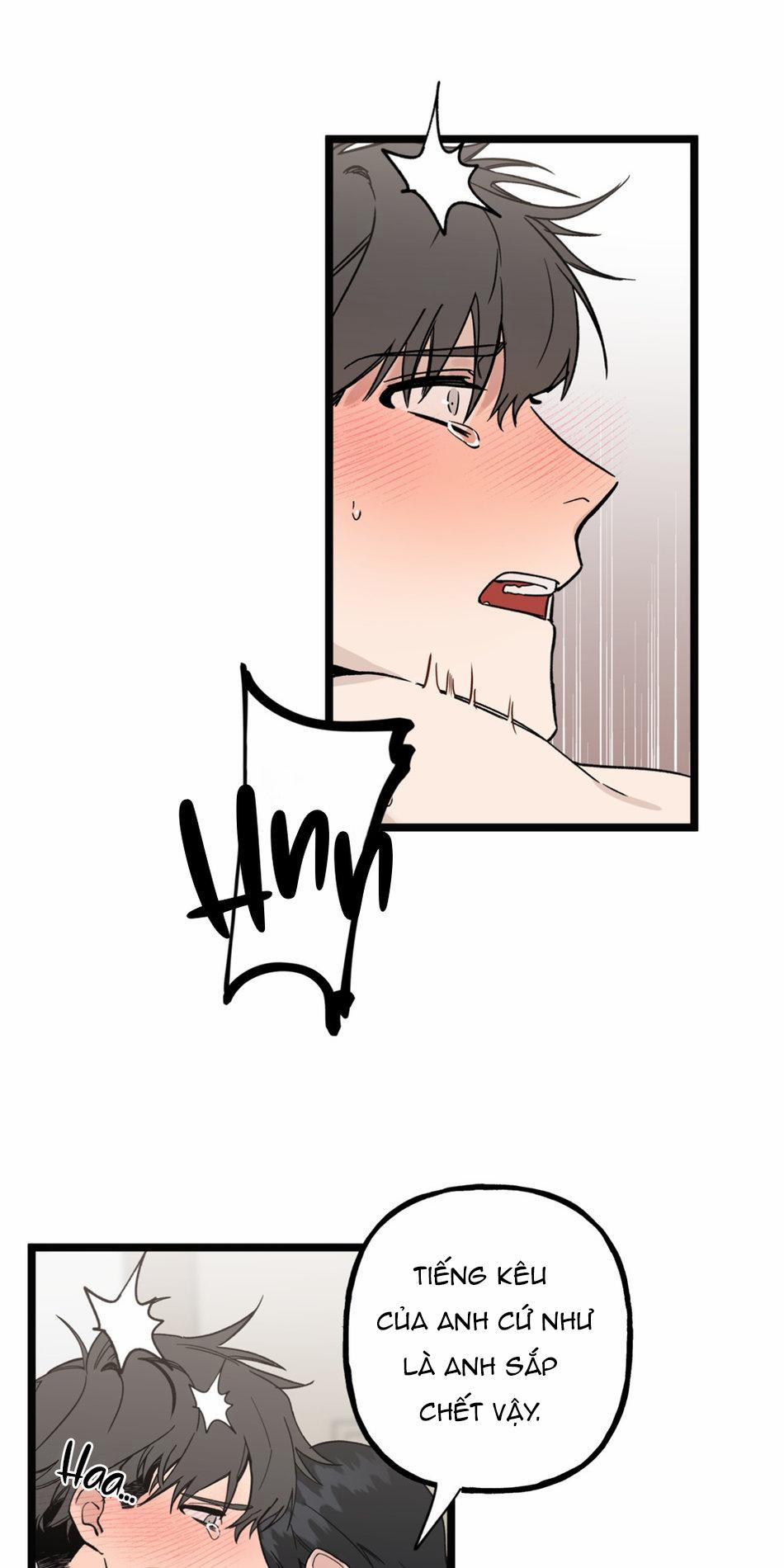 Những Gì Em Mong Muốn Sẽ Không Trở Thành Sự Thật 4 trang 14