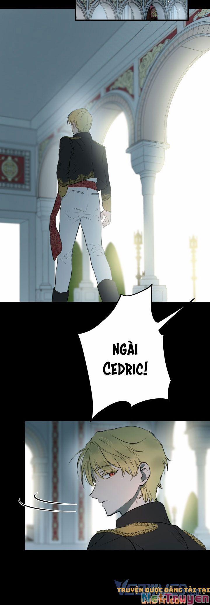 Những Kẻ Mạnh Nhất Thế Giới Đều Bám Lấy Tôi 49 trang 1