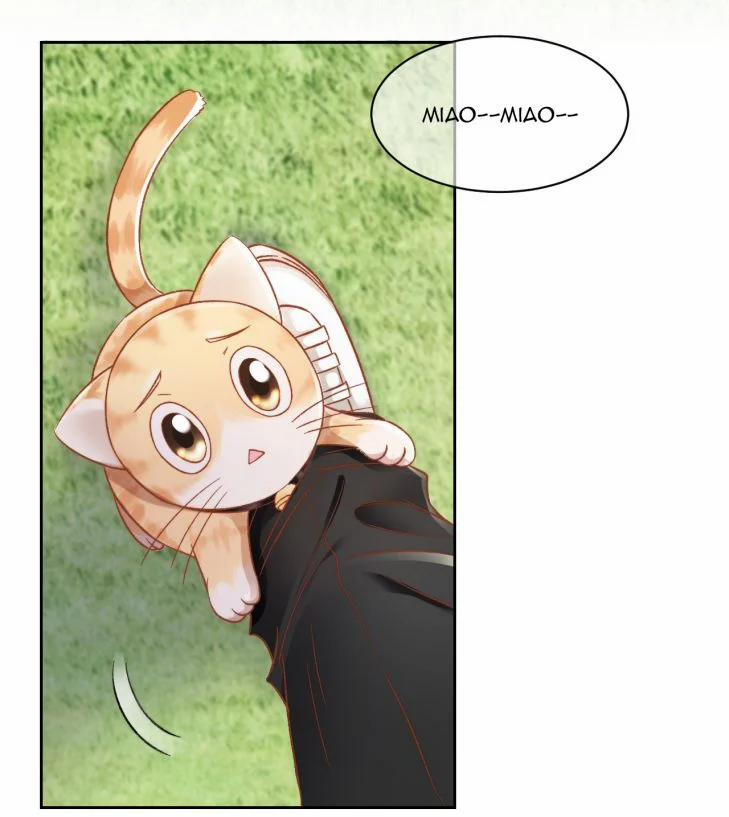 Những Ngày Cùng Tra Công Chính Diện Quyết Đấu 24 trang 15