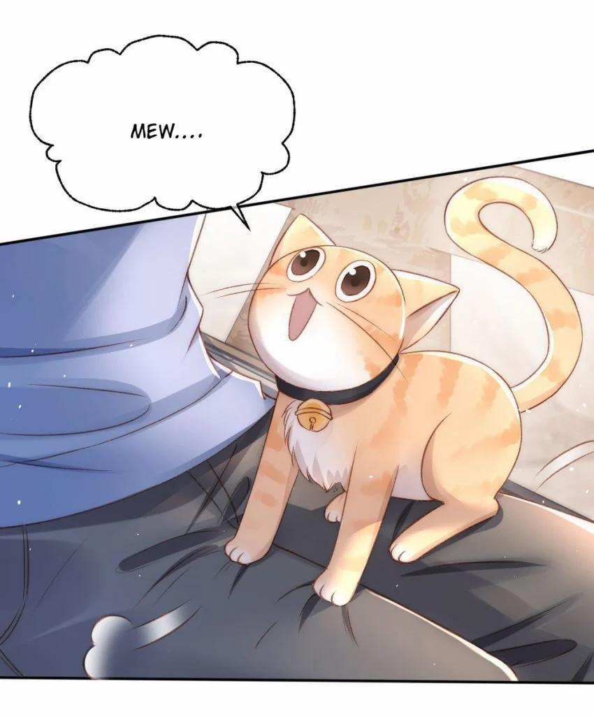 Những Ngày Cùng Tra Công Chính Diện Quyết Đấu 34 trang 33