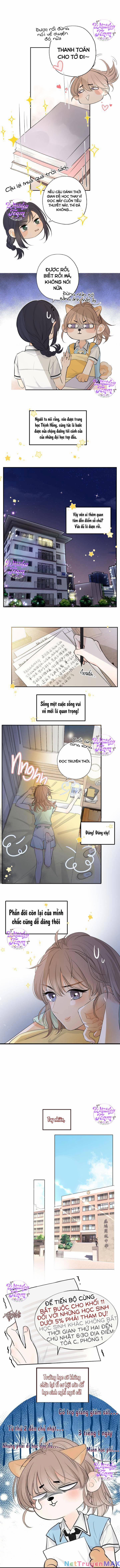 Những Ngày Thanh Xuân Của Tôi 1 trang 5