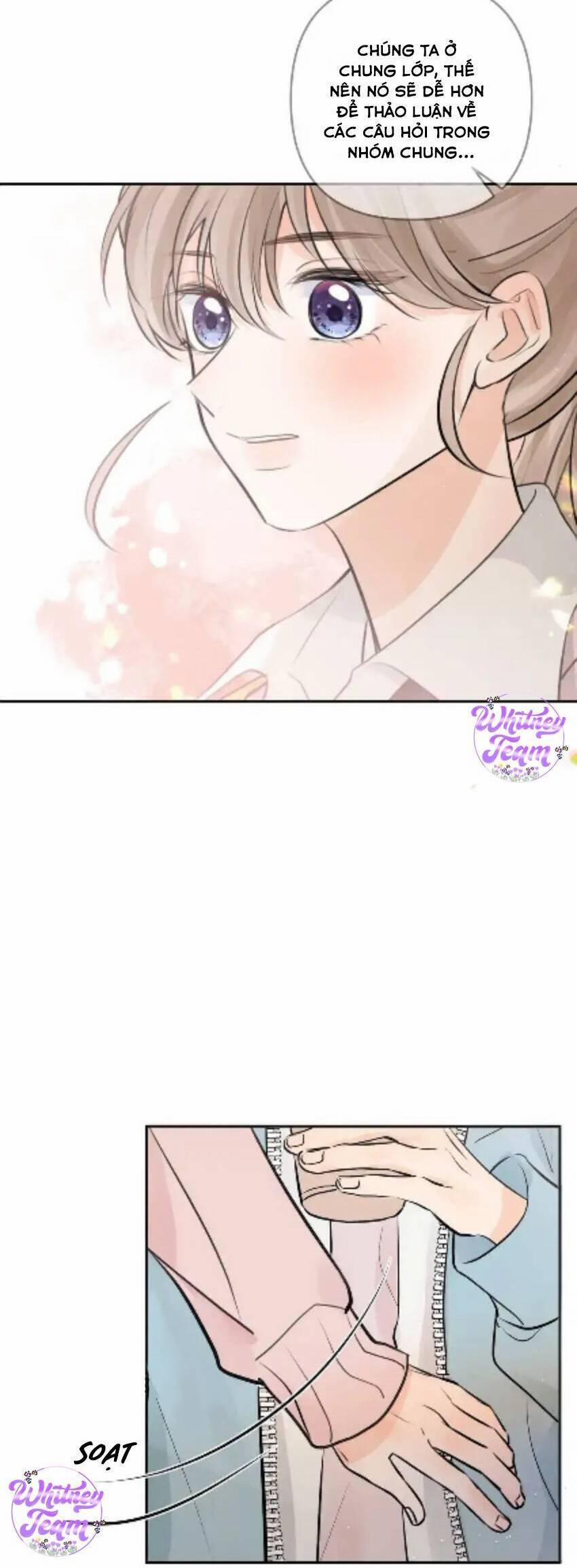 Những Ngày Thanh Xuân Của Tôi 10 trang 19