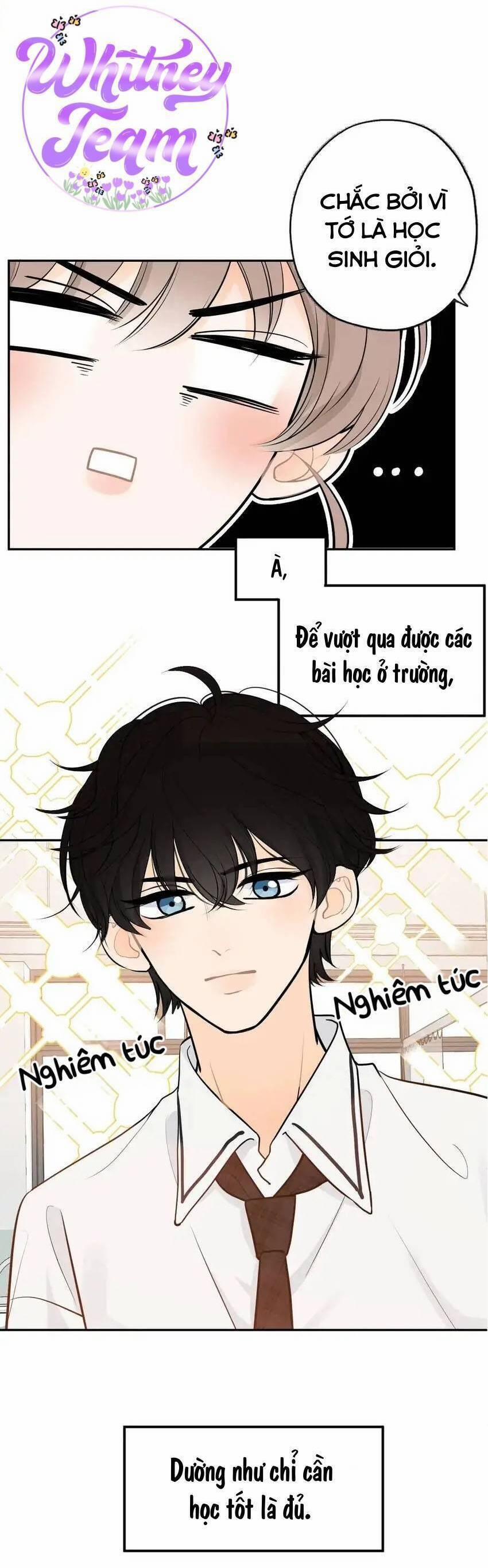 Những Ngày Thanh Xuân Của Tôi 3 trang 20